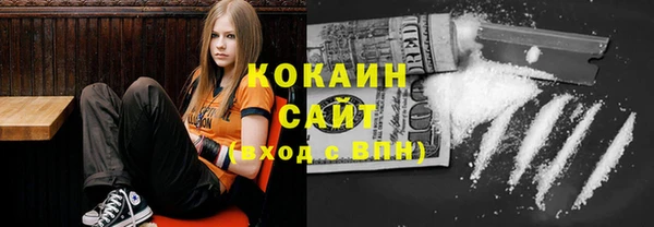 сатива Волоколамск