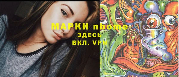 сатива Волоколамск