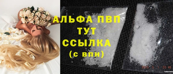 стафф Володарск