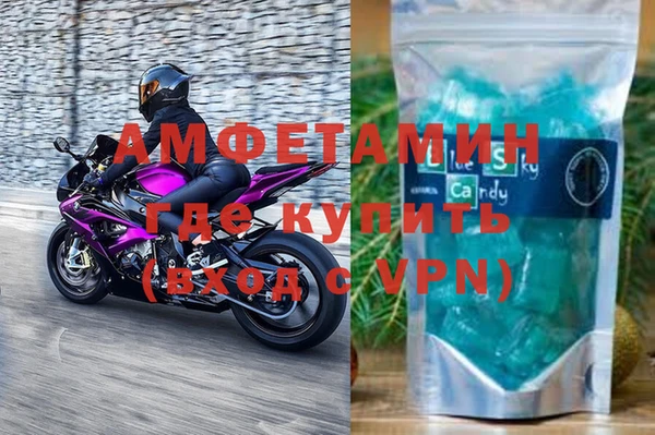 сатива Волоколамск