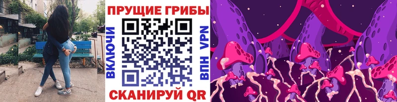 Купить где  Бавлы  Галлюциногенные грибы Magic Shrooms 